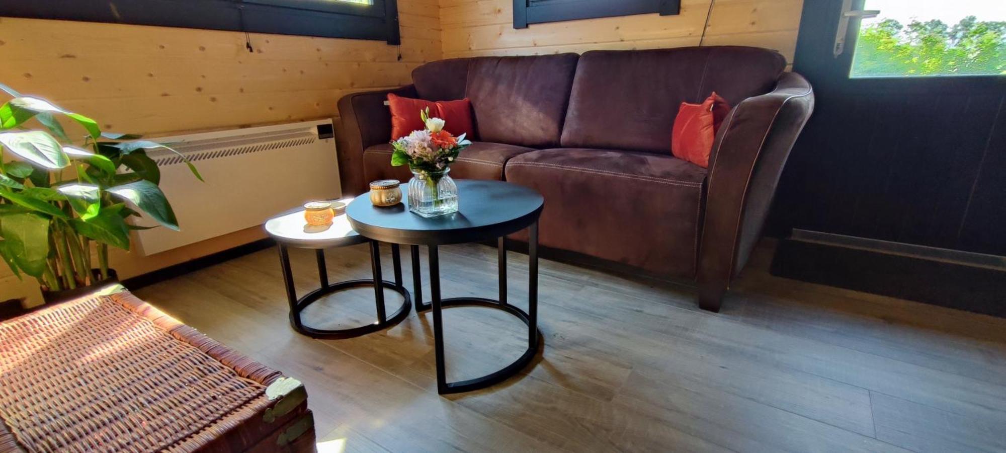 Chalet In Het Groen Met Airco Drachtstercompagnie Esterno foto