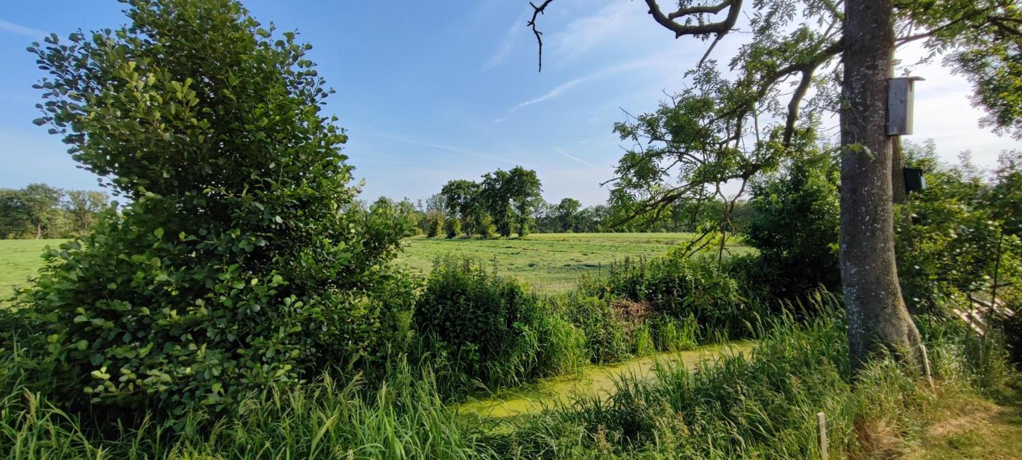 Chalet In Het Groen Met Airco Drachtstercompagnie Esterno foto